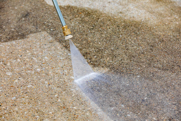 Best Roof Washing  in Blue Ridge, AL